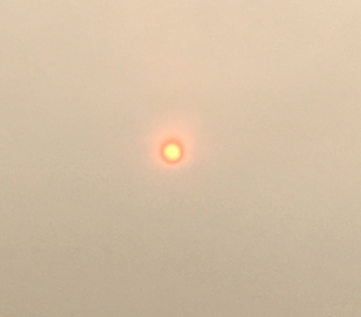 TheWeddingCrècherz tweet media