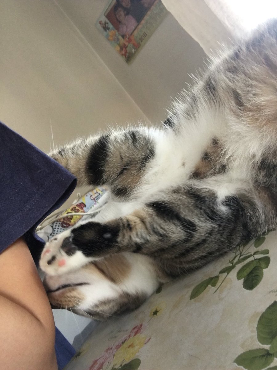 aliisss's tweet photo. unico che tenta di farmi sorridere https://t.co/UJpiBTu9j9