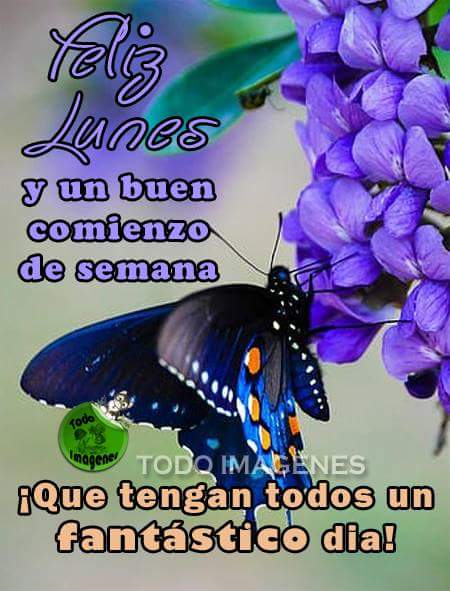 Ji120Jose's tweet photo. https://t.co/uc1Em2uO0a