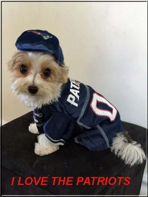 We are <a href="/Patriots/">New England Patriots</a> fans Can we come meet you? #NewEnglandPatriots We visit kids <a href="/BostonChildrens/">Boston Children's</a>  <a href="/HasbroChildrens/">Hasbro Children's</a>