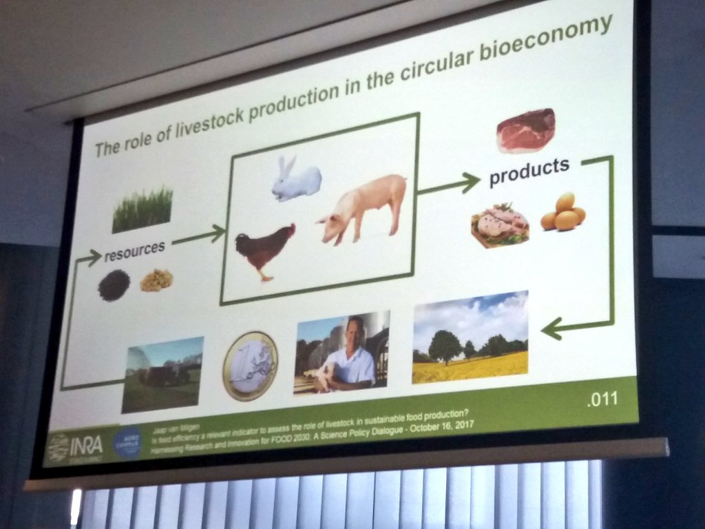 COPACOGECA's tweet photo. Great presentation the role of #livestock in 🔃 #Bioeconomy &amp; encouraging dialog with consumers at #Food2030eu - simply #livestockcounts 🐖🐄🐐🐔 https://t.co/F7NhCJ0hpD