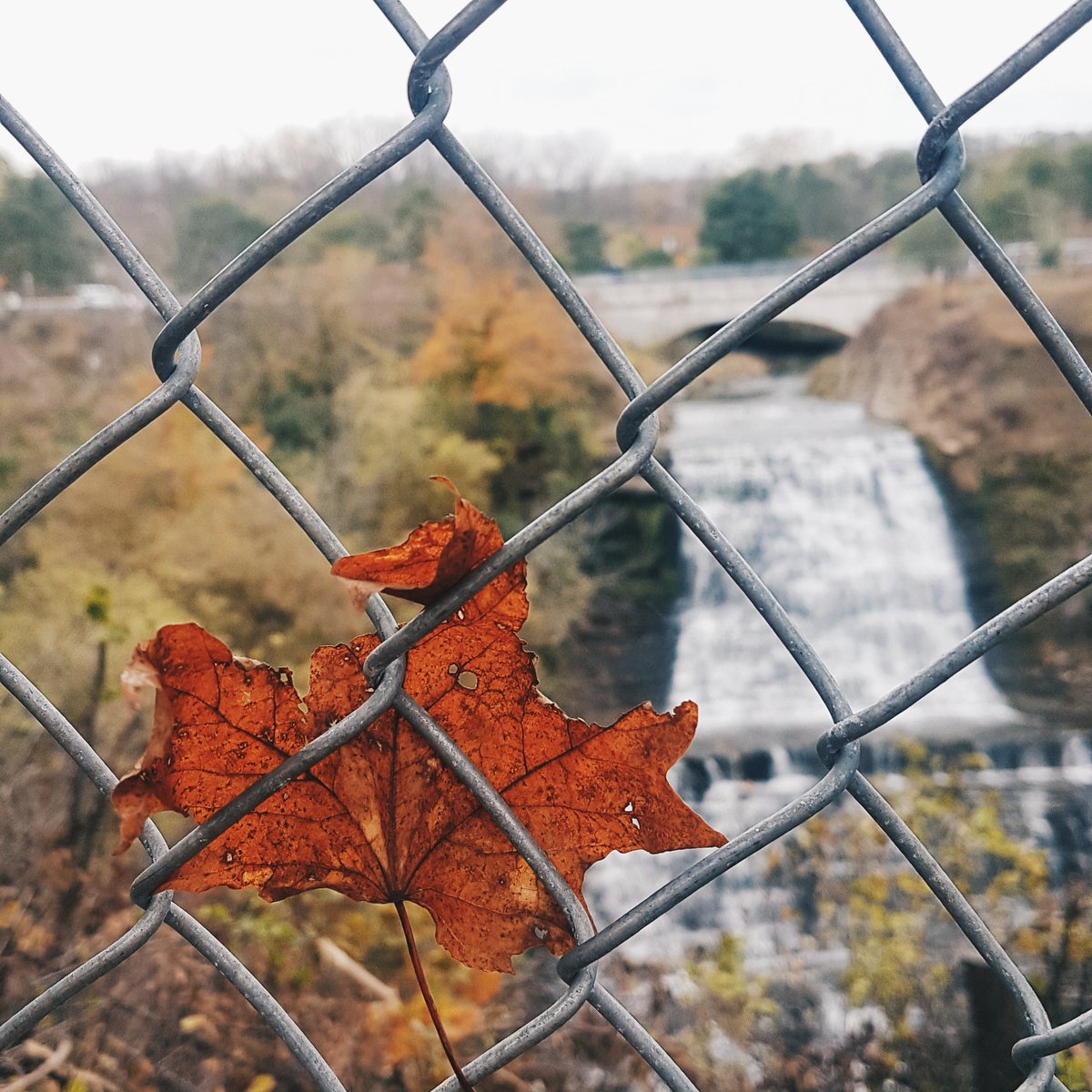 FrenchNomadista's tweet photo. Exploring Hamilton Falls. Albion Falls, ON.
#hamiltonfalls #MondayMorning #travelphotography https://t.co/ennaaVQ6LV