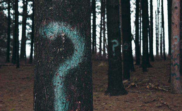 6 questions sur le SU-ITE @Sorbonne_U bit.ly/2hJaVgs Synergies évidentes avec le #biomimétisme #biodiversité <a href="/ceebios/">Ceebios</a> <a href="/biomimexpo/">biomim'expo</a>