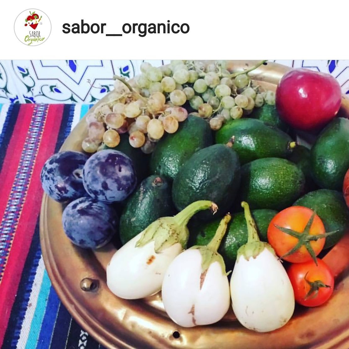 Alcalamegusta's tweet photo. #DíaMundialdelaAlimentación. ¡Enhorabuena a todos los que hacéis posible que cada día comamos más sano!
@SabOrganico #AlcalaDeGuadaira https://t.co/2HYu0FUfic