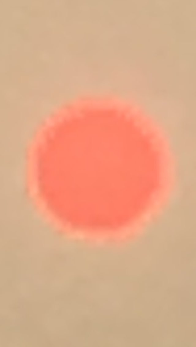 jgrracing's tweet photo. Strange looking sun today! Looks like it is blushing! #rosesun https://t.co/5lQRMyAp2d
