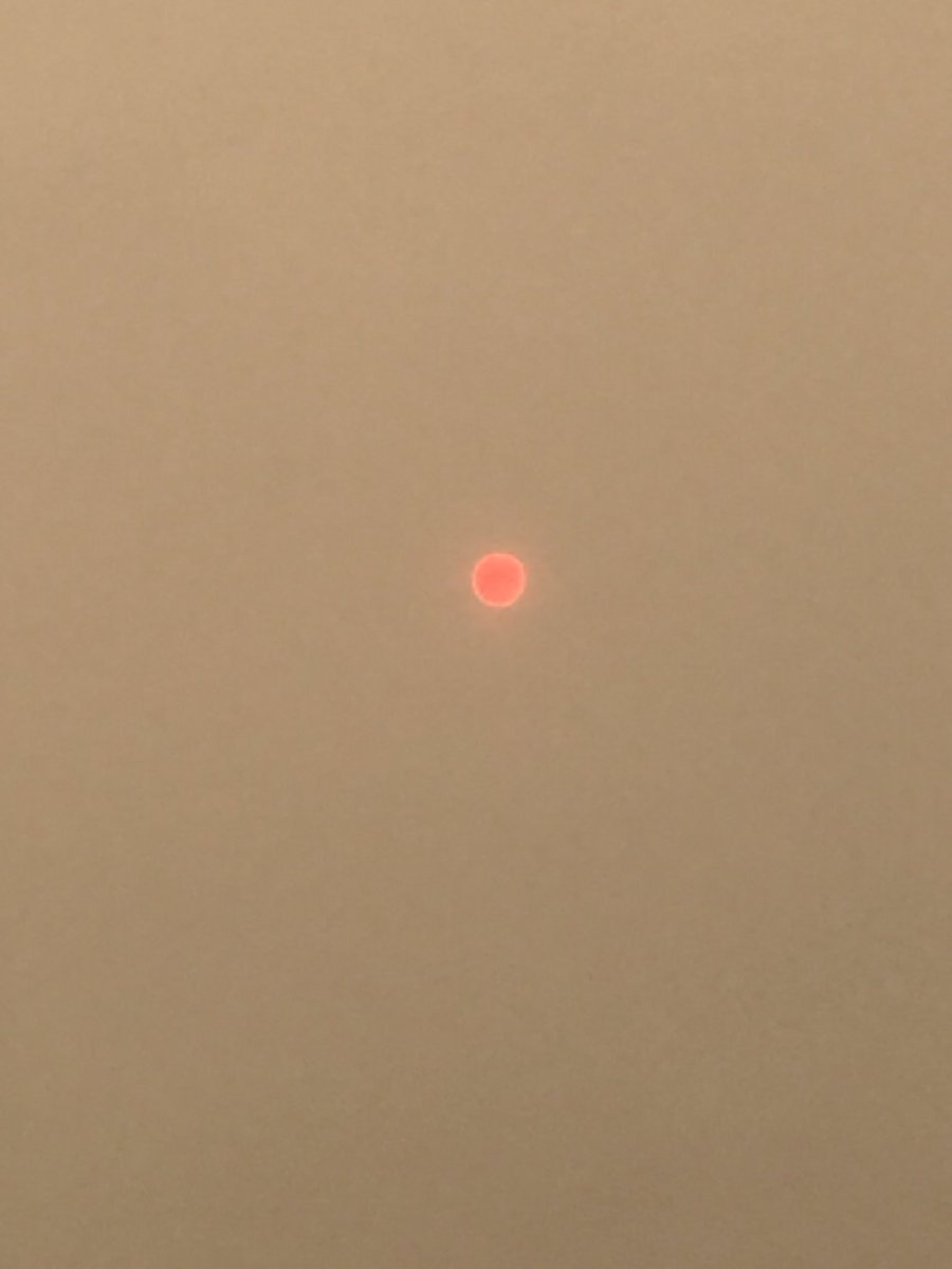 joannecarlile's tweet photo. Freaky weather today #strangesun https://t.co/aHudsH3Pfr