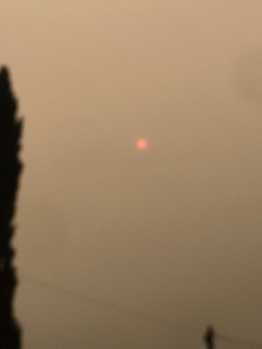 joannecarlile's tweet photo. Freaky weather today #strangesun https://t.co/aHudsH3Pfr