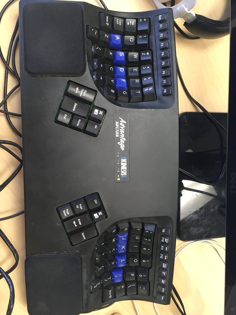 Neil Bliss tweet media