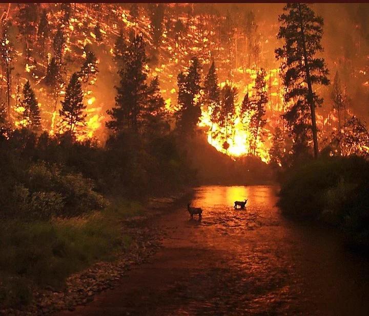 albertocontador's tweet photo. Sin palabras ante las noticias sobre los incendios.Que impotencia tan grande al verlo.Ojala lleguen lluvias pronto! https://t.co/tAuCIFy6UM