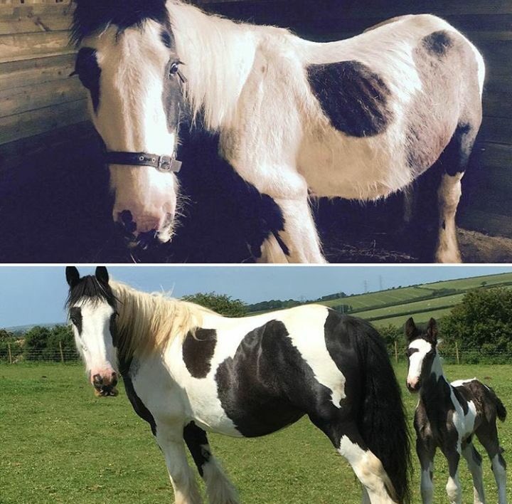 The Hugs Foundation tweet media