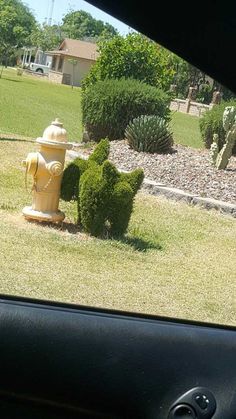 YardProduct's tweet image. Someone is using their creative mind! #landscapinghumor #gardeninghumor
