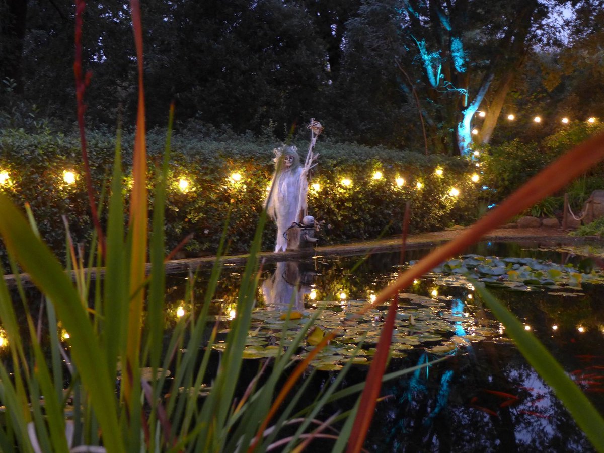 Abbotsbury Gardens tweet media