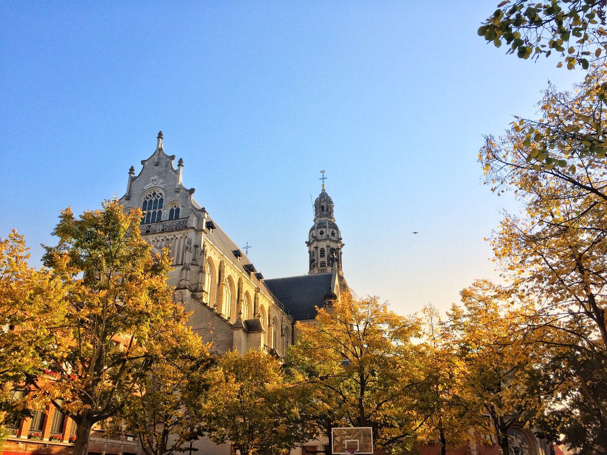 MinhHC's tweet photo. Fall foliage in #Antwerp, #Beligum https://t.co/UOK8rABSSd