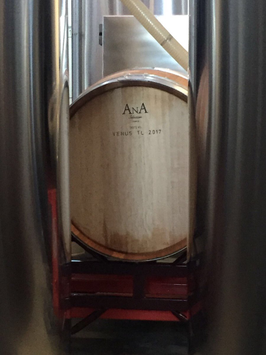 Nuevo proyecto: #Hika Txakolina fermentando en barrica de roble francés y tendrá una crianza de 6 meses sobre lías.