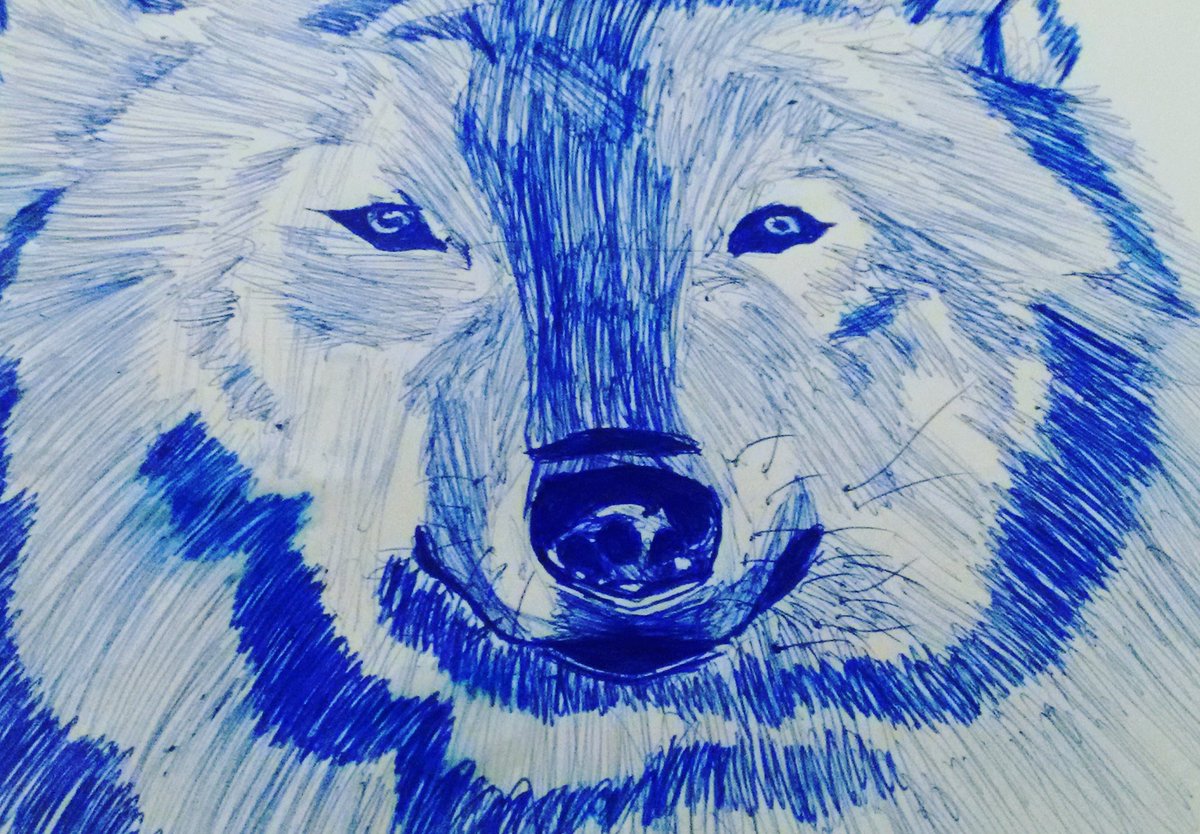 AAAAndin's tweet photo. #wolf 🐺 https://t.co/CgozWh8vyI