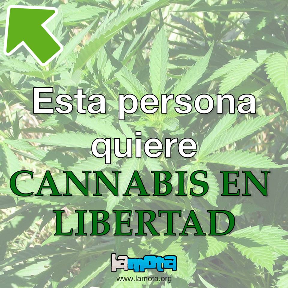 lamotagrow's tweet photo. Así de claro: queremos #MarihuanaLegal ¡¡Que todo el mundo se entere!! https://t.co/LqQynyXVDG