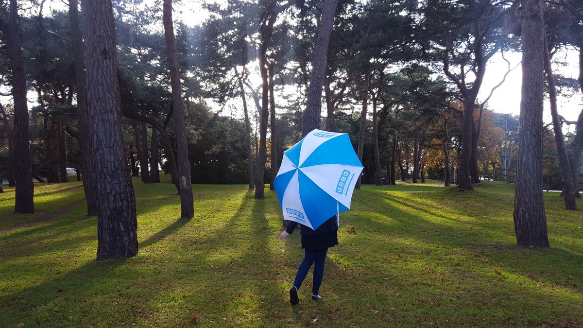AspenPrint's tweet photo. #TheCalmBeforeTheStorm Keep the motivation going by being proactive and looking at our umbrellas we can create for you ! #MondayMotivation https://t.co/5jwiwbMNgT