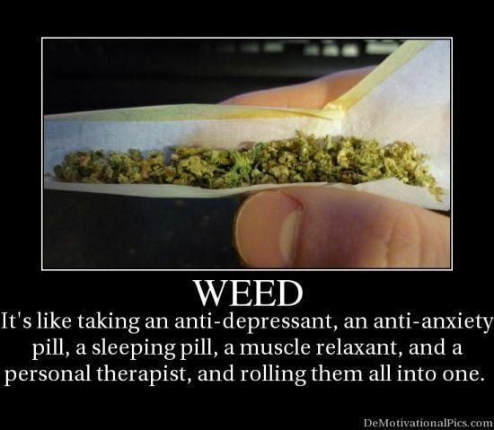 Kunzitoons's tweet photo. Make it a fantastic week #MondayMorning #cannanutrients #BlazeUp #stonerfam #MuchLove https://t.co/ZmD2rTXMnJ