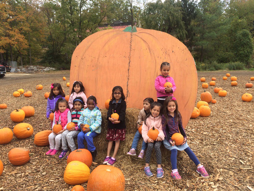 GGatKT's tweet photo. Pumpkin perfect!🎃 https://t.co/5cqWW81cHT