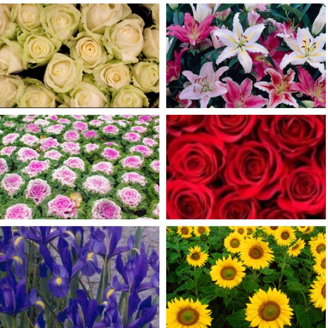 GTF Preston tweet media