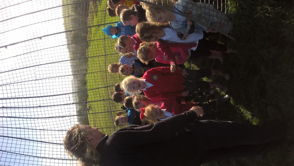 keepyboy's tweet photo. @AberbargoedPS on manoeuvres!
#muddyadventure https://t.co/xppiJJRCnt
