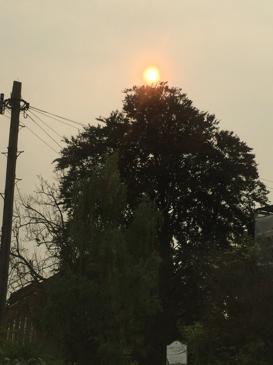 LynneOmar's tweet photo. Supersized Christmas Tree #Ophelia #SaharanDust #FireParticles #RedSun @bbcweather https://t.co/HYTej6yU8T