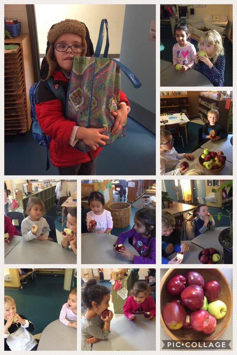 centralschoolk1's tweet photo. Thank you for picking so many delicious apples for us! https://t.co/ADGt9U2sJP