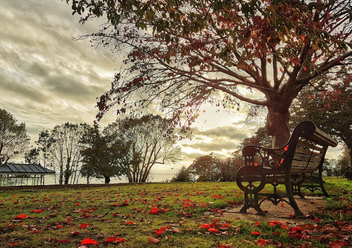 Essex_Echo's tweet photo. Southend seafront looking very autumnal. Thanks for the picture Kim Tobin https://t.co/4TrBNTcqwW