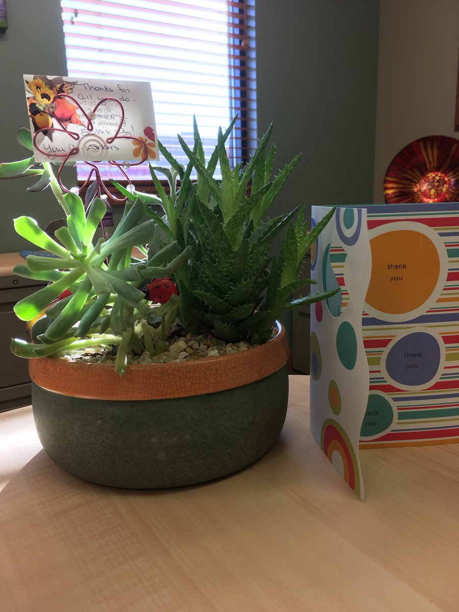 MidwestDionne's tweet photo. Feeling appreciated @MidwestBank #BarnesvilleMN. I work with the BEST #MWBankTeam. Happy #NationalBossDay https://t.co/0i1QnG87jW