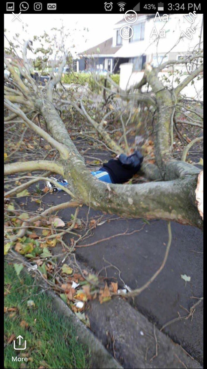 Carl O'Meara tweet media