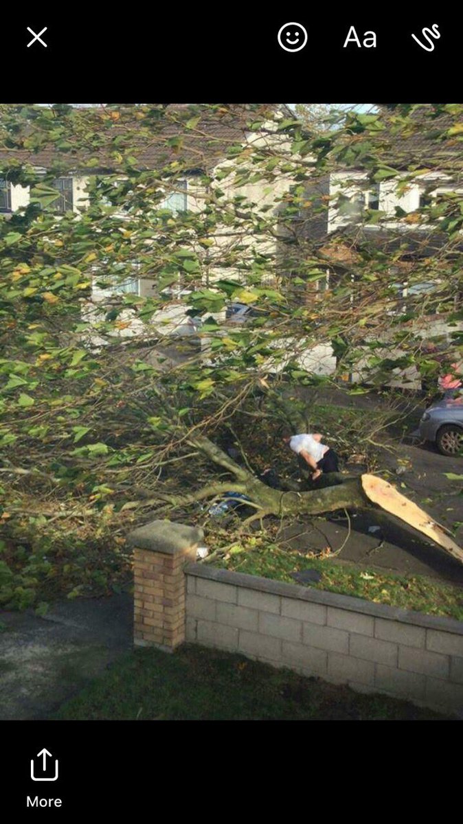 Carl O'Meara tweet media