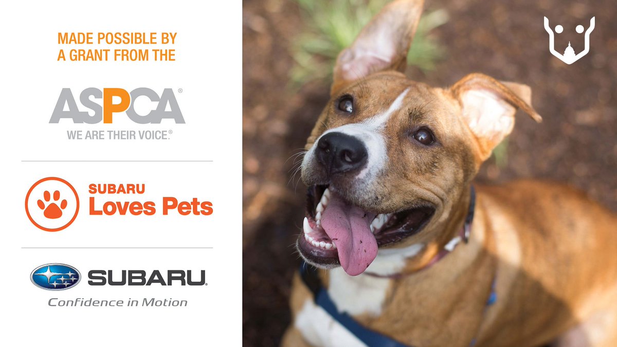 Meet, adopt, and go home with your new best friend on Oct. 21 @FitzRockville Subaru with fee-waived adoptions! #SubaruLovesPets.