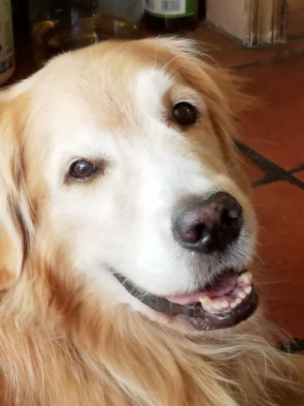 In Case You Missed It - Our October Newsletter conta.cc/2xApNbT