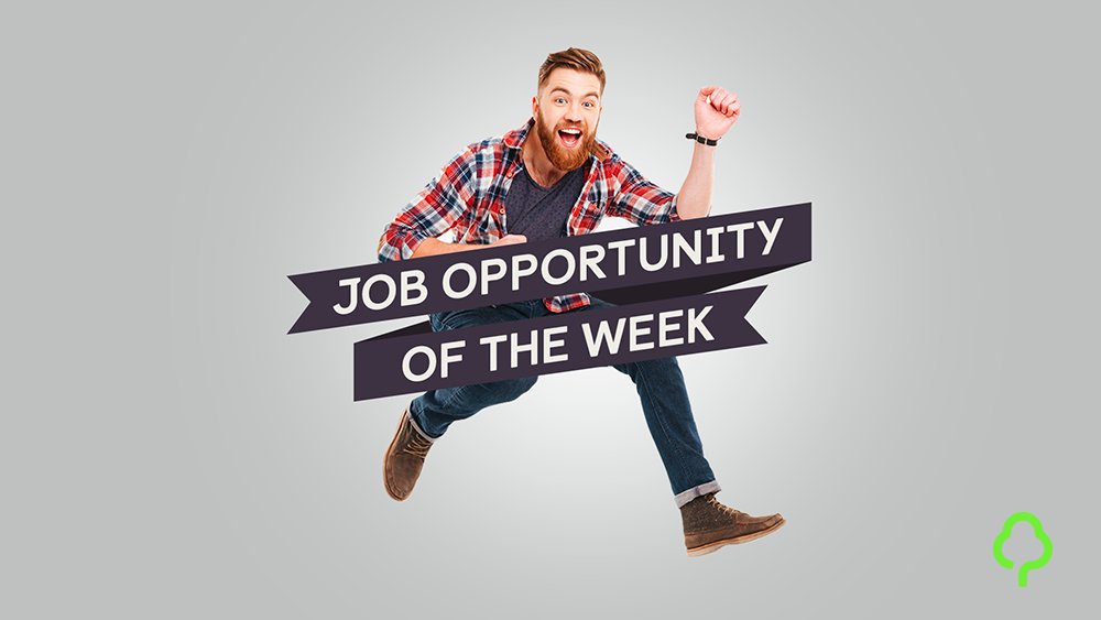 🎅  Santa Claus wanted! 🎅  10 Mondays until #Christmas...this weeks #Job of the Week is looking rather festive! gumtree.com/p/christmas-jo…