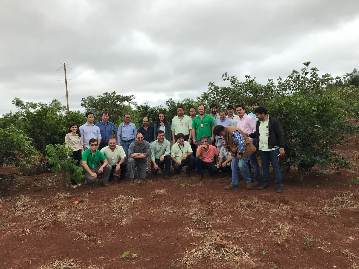 iicaparaguay's tweet photo. Consultores del #IICA #ParaguayBio #BAAPA #ITAIPU participaron del Taller de Restauración Forestal - Capacitados por #Bioflora #LERF SP-Br https://t.co/4lzqD1YFDi