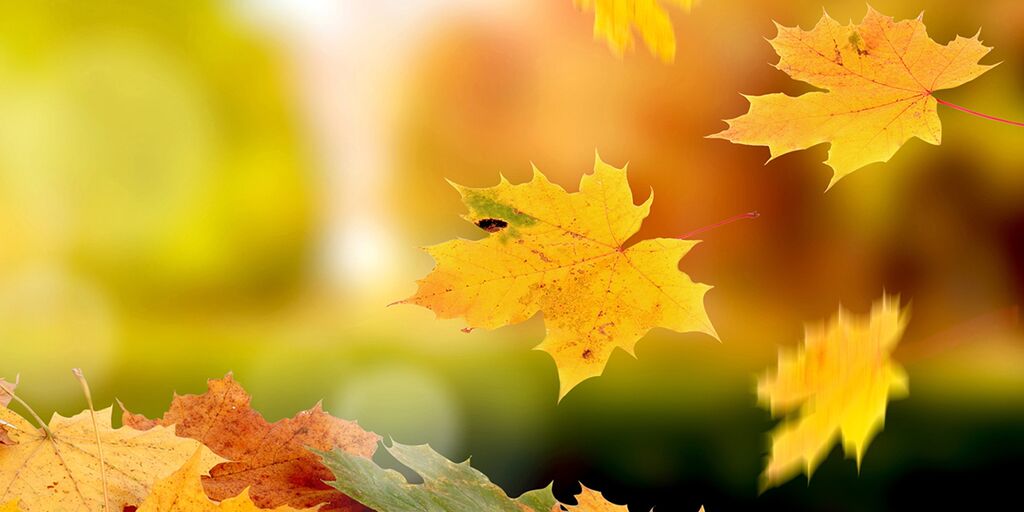MrFrangipane's tweet photo. @CorentinCharron  https://t.co/TpKAundXWp