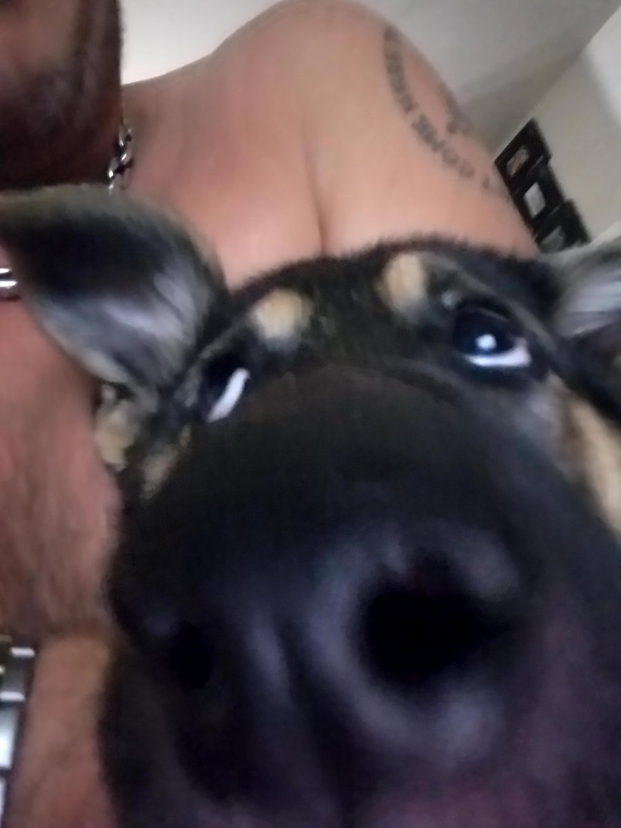 Little nola...