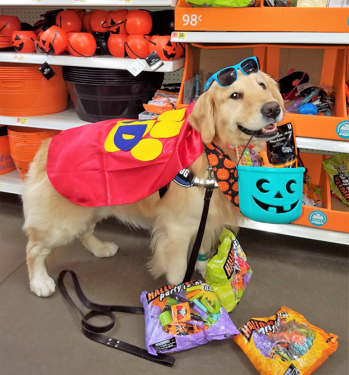 Kobalt_IST_Gold's tweet photo. SuperSniffer w/ALL his FAVORITE  #NonFoodFun @Walmart 4 #Halloween #TealPumpkin #tealpumpkinproject @AllergicLiving @TheEllenShow @TheView https://t.co/0bz5eI6CYm