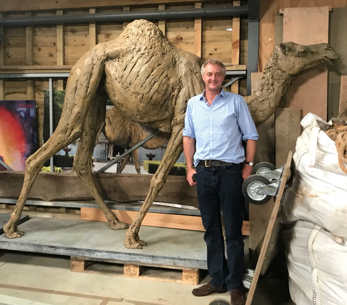 philipmould's tweet photo. For the chic sheikh with everything. A solid bronze racing camel by renowned animalier  @HMackieSculptor which I bumped into over lunch. https://t.co/AIJDDudftP