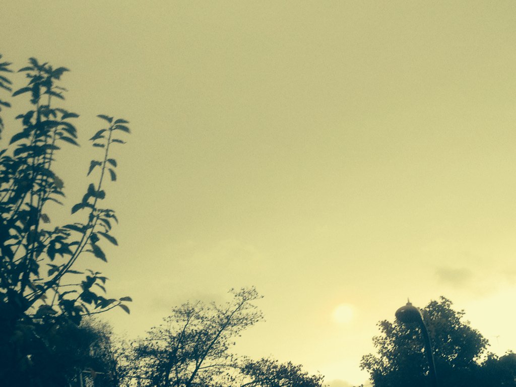 BlueGeneMedia tweet picture