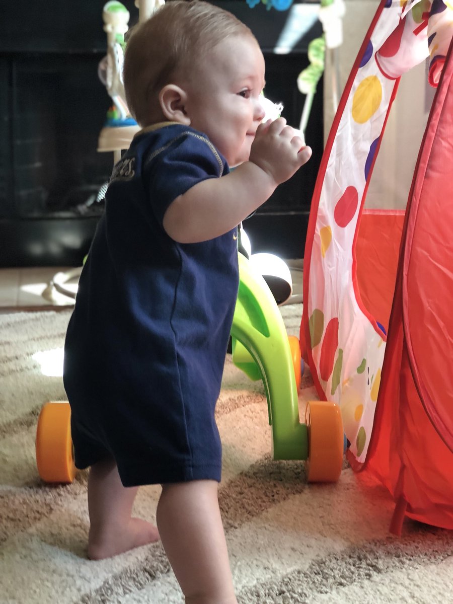 MiaHuss's tweet photo. Guess what he is doing. If you guessed pooping, you’re right! #picsbymom #iwillneverstopembarassingyou @gdepaoli3 https://t.co/LoeG8AgUe6