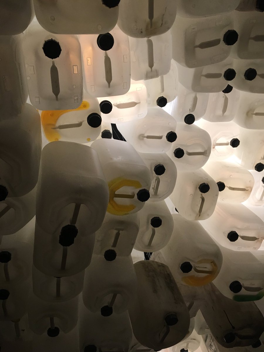 Grow Ambler tweet media