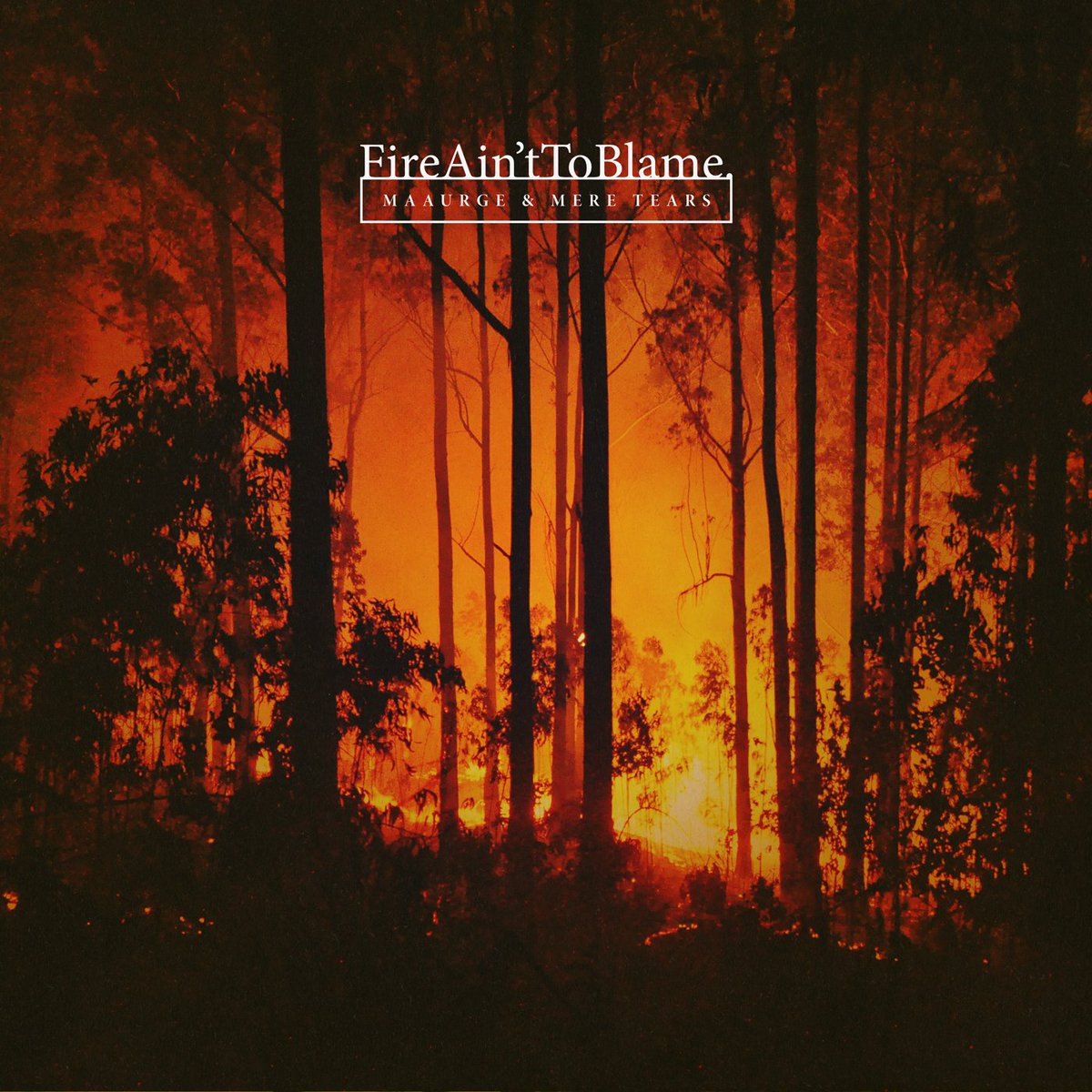 #queimangalicia #nuncamais #FireAintToBlame
maaurge.bandcamp.com/album/fireaint…