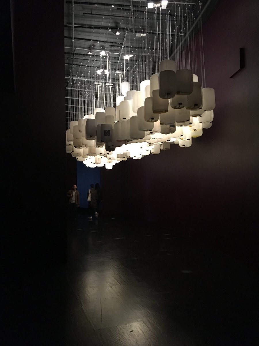 Grow Ambler tweet media