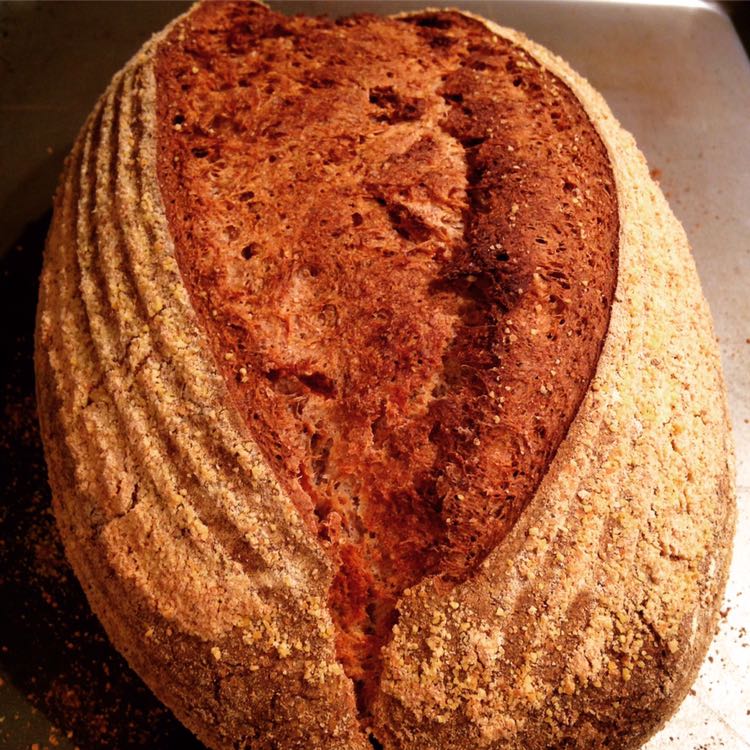 mar_de_olivos's tweet photo. Bread, bread, bread with #extravirgin #oliveoil #evoo #MedDiet #vegan #WorldBreadDay2017 https://t.co/639ZblhwOm