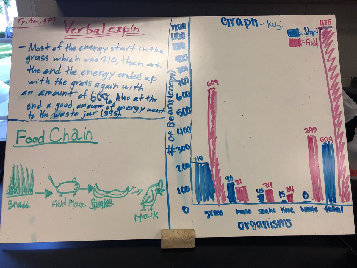 BrownBioNAHS's tweet photo. How does energy move through a food chain? Evidence evidence evidence! #evidencebasedargument #Beanergy #ForWhatWeStandNA https://t.co/1pbblHBTq8