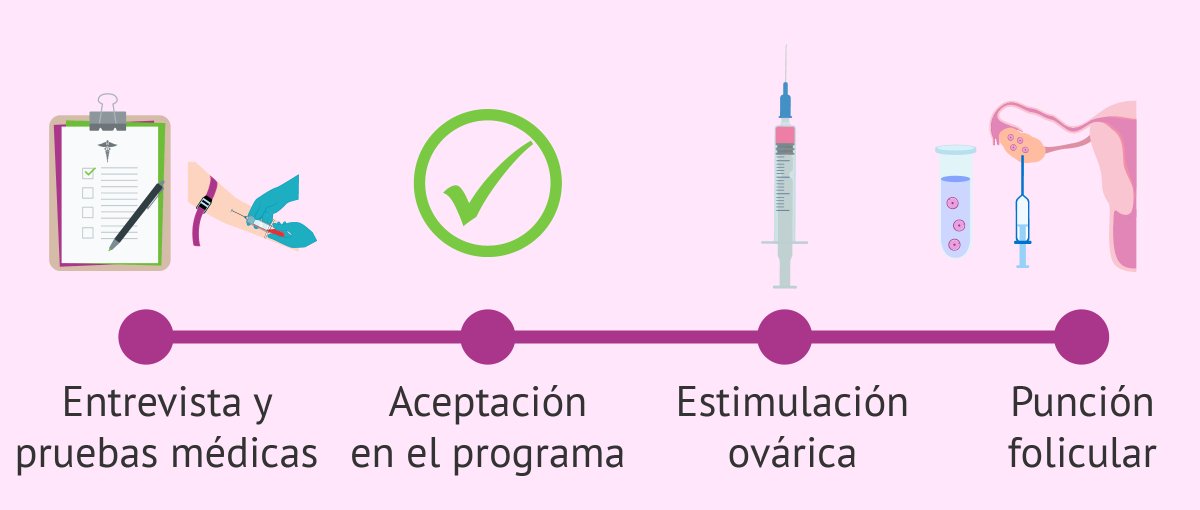 ¿Te estás planteando donar óvulos? Infórmate aquí de cómo hacerlo y de sus riesgos. #donarovulos #ovodonacion
ovodonante.com/informacion-pa…
