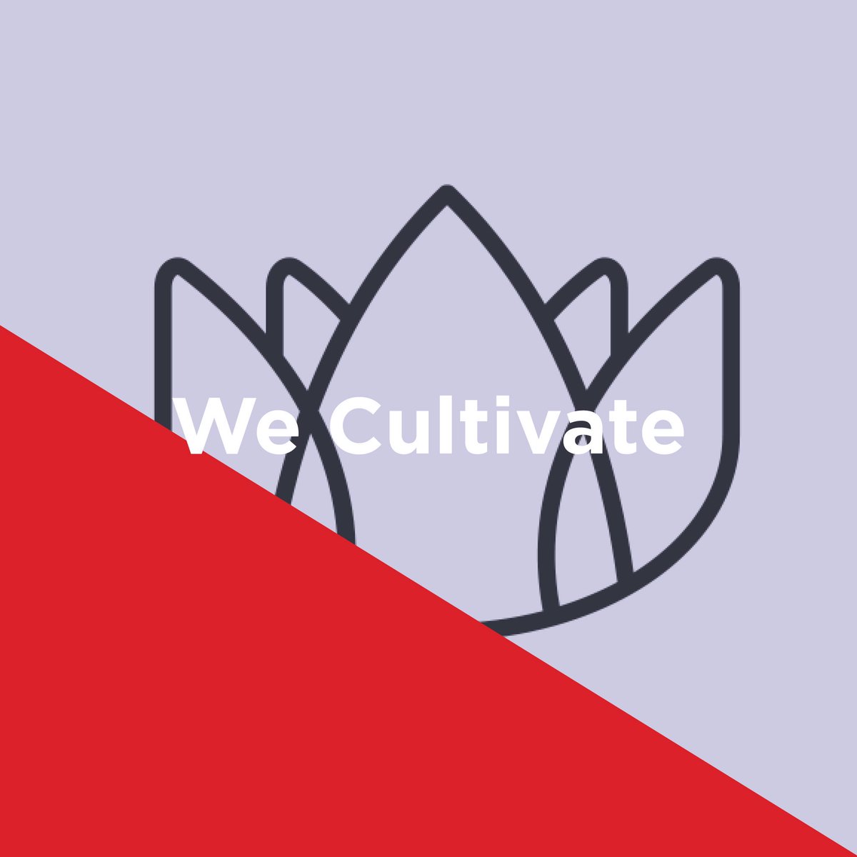 Character Canada tweet media