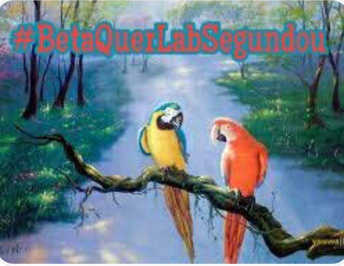 Boa tarde! Semana iniciando com muita luz e cheio de paz como a natureza. #BetaQuerLab #BetaQuerLabSegundou