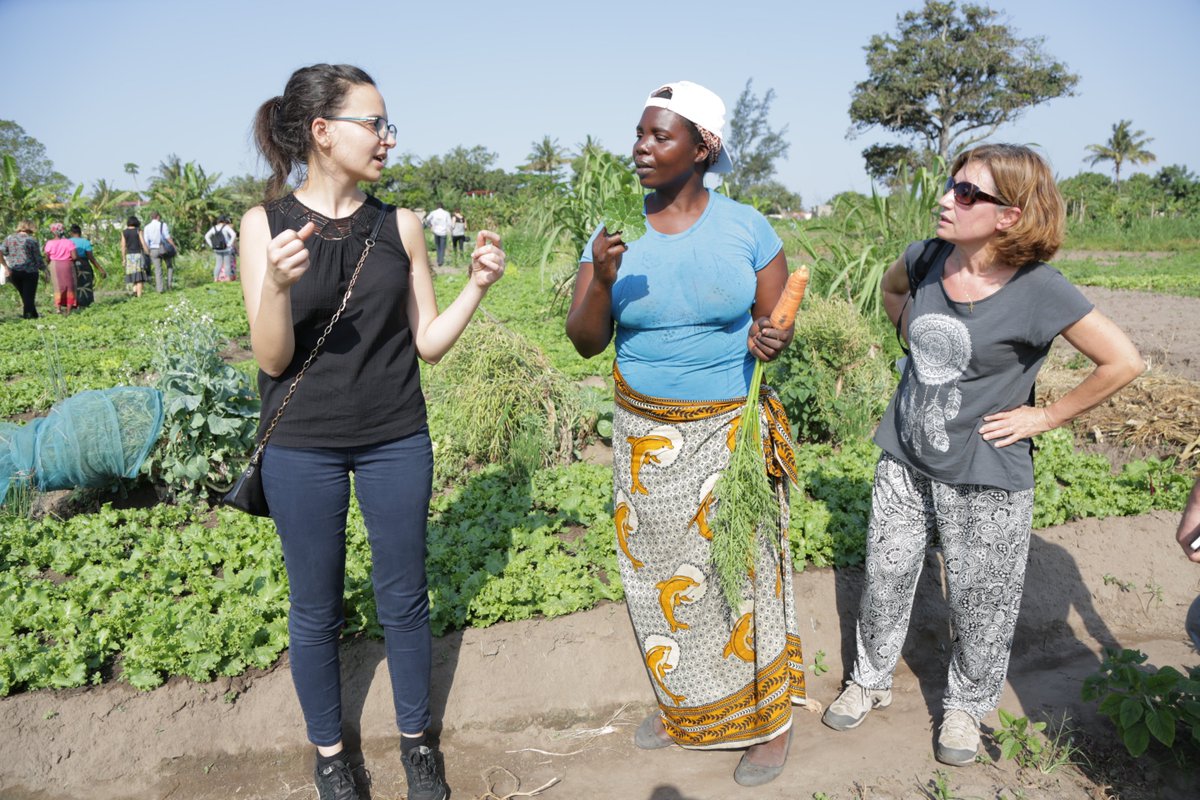 AFD_en's tweet photo. Day 1: #METDEV meets ESSOR: 30 AFD staff are in #Mozambique to visit projects and meet partners. More about ESSOR ➡️ https://t.co/4pO6xYdihv https://t.co/HNWcHeKrvH